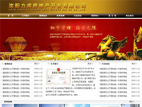 沈阳力成房地产开发有限公司