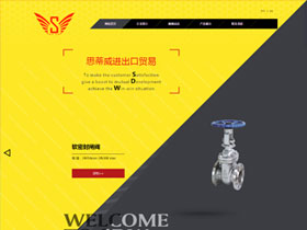 沈阳思蒂威进出口贸易有限公司